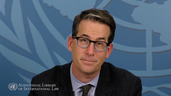 Duncan B. Hollis - Defining the Treaty and Assessing the Alternatives