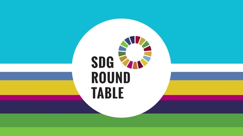 SDG Youth Climate Roundtable: 2022 World Environment