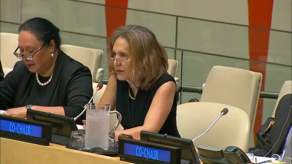 Steering Committee on Partnerships for Small Island Developing States
