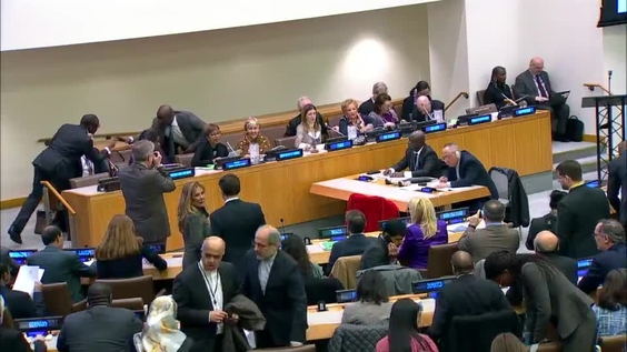 (2nd Plenary ) 52nd session of the Commission on Population and Development (1 - 5 April 2019)