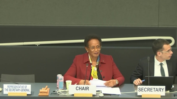 20th Meeting of States parties & 2025 elections, Committee Against Torture (CAT) - Afternoon Session