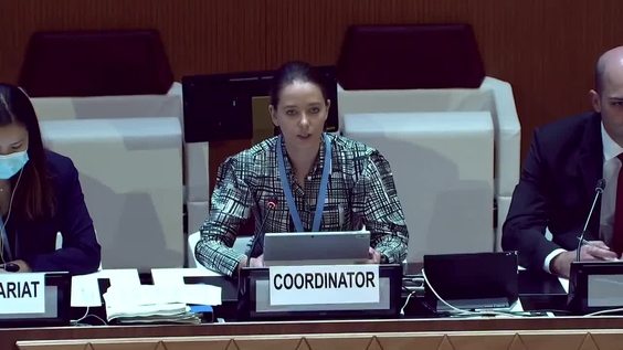 3rd Meeting, 10th Meeting of States Parties of the Convention on Cluster Munitions
