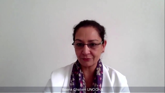 Reena Ghelani (OCHA) on the situation in Yemen - Security Council, 8786th meeting
