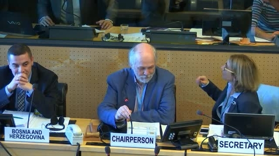 Consideration of Bosnia and Herzegovina - 181st Meeting 11th Session of Committee on Enforced Disappearances