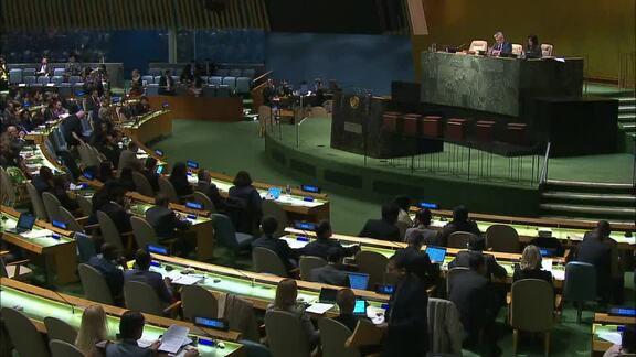 General Assembly Elects Chairs and Bureax of Main Committees - 4th Commitee, 24th Meeting