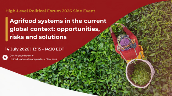 Agrifood systems in the current global context: opportunities, risks and solutions (HLPF 2026 Side Event)