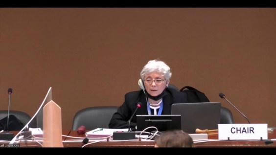 371st Meeting, 21st Session Committee on Enforced Disappearances