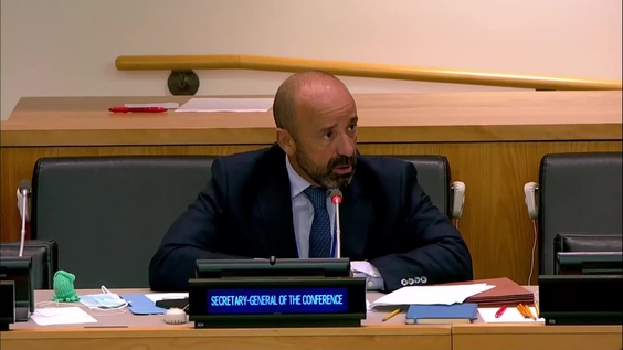 (56th plenary meeting) Intergovernmental Conference on Marine Biodiversity of Areas Beyond National Jurisdiction - Fifth session