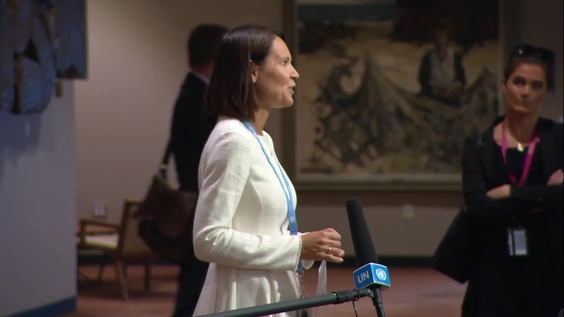 Trine Heimerback (Norway) on the situation in Ukraine - Security Council Media Stakeout