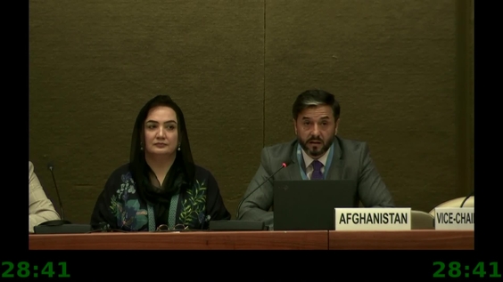 2160th Meeting, 91st Session, Committee on the Elimination of Discrimination against Women (CEDAW)