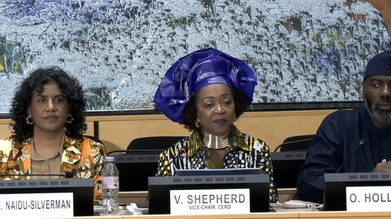 4th Meeting, 5th session of the Permanent Forum on People of African Descent