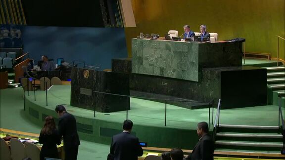 63rd Plenary Meeting of General Assembly 73rd Session