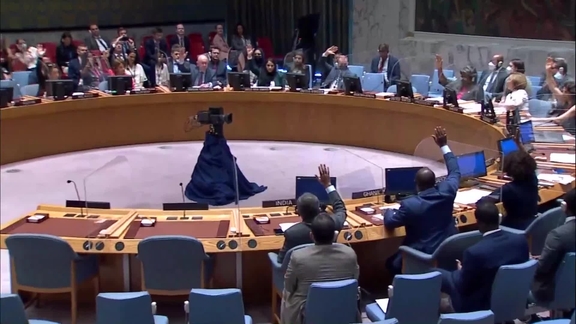 Peace and security in Africa  - Security Council, 9050th Meeting