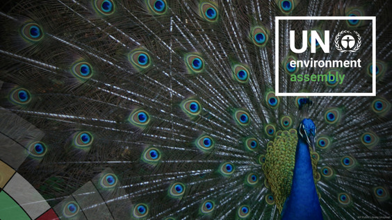 5th Plenary: National Statements (Continued) | UNEA-7