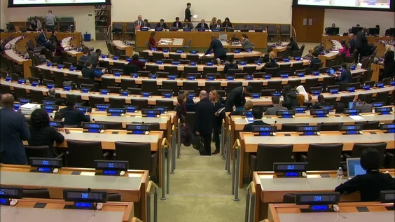 Fifth Committee, 17th meeting - General Assembly, 74th session