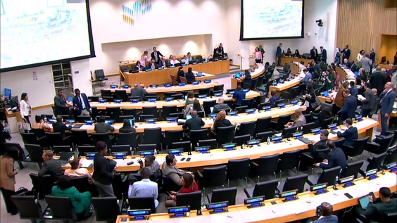 International Migration Review Forum 2026 - Round Table 2 (Continued)