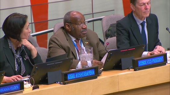 (2nd meeting) 24th session of the Committee of Experts on Public Administration - Economic and Social Council