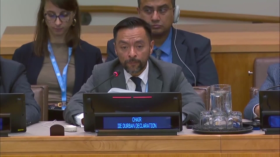 Third Committee, 41st plenary meeting - General Assembly, 79th session