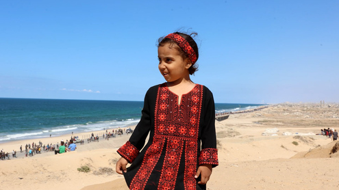 Gaza: Displaced head back home after ceasefire agreement reportedly comes into effect