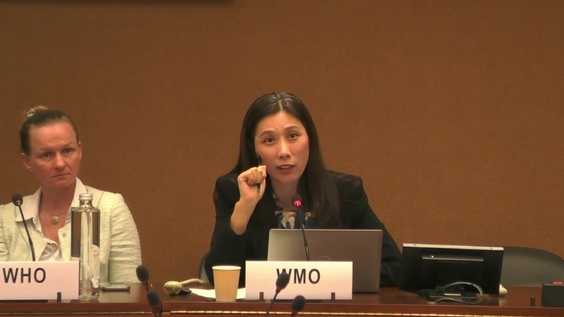 1st Meeting, Global Workshop on Floods and Health