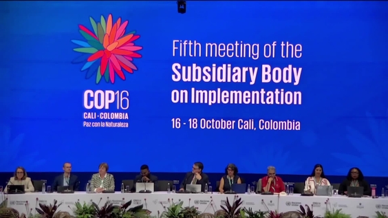 SBI-5: Plenary 3 at COP16 – United Nations Biodiversity Conference 2024
