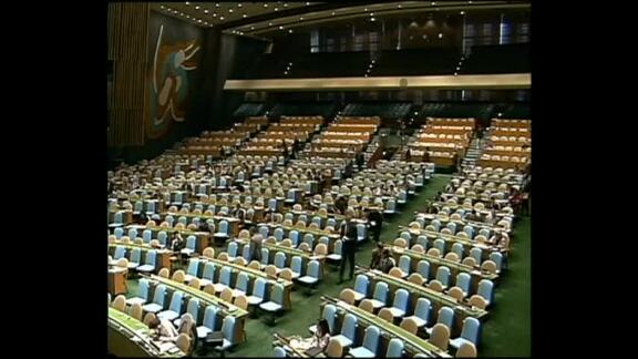 104th Plenary Meeting of General Assembly 48th Session