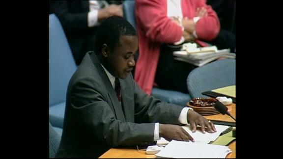 3123rd Meeting of Security Council: Mozambique