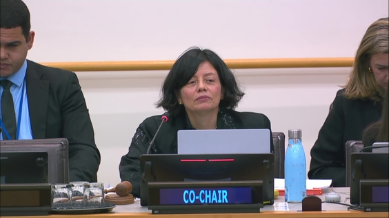 Preparatory Commission: Agreement on Marine Biological Diversity of Areas beyond National Jurisdiction (Third Session, Informal working group meeting)