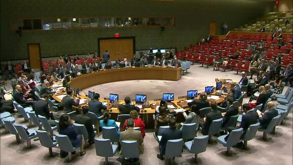 8017th Security Council Meeting: Threats to International Peace and Security