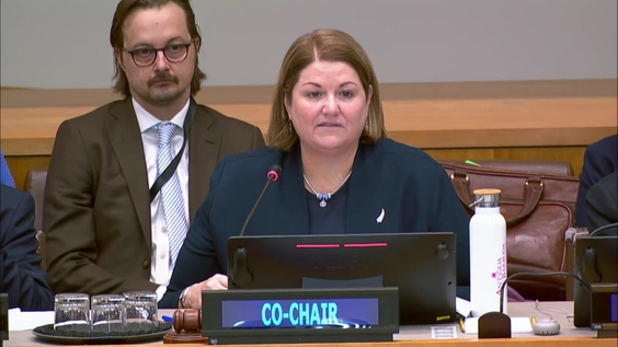 Informal Ad hoc Working Group on UN80 initiative - General Assembly, 80th session