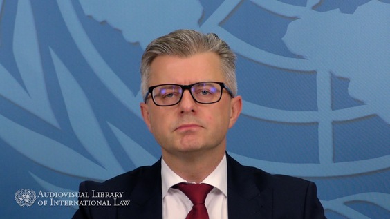 Michał Balcerzak - The Law and Practice of the UN Committee on the Elimination of Racial Discrimination