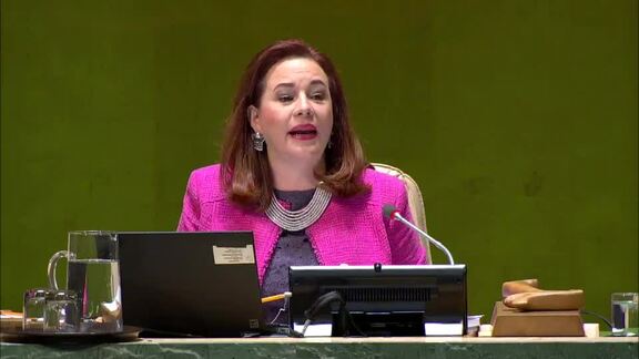 29th Plenary Meeting of General Assembly 73rd Session