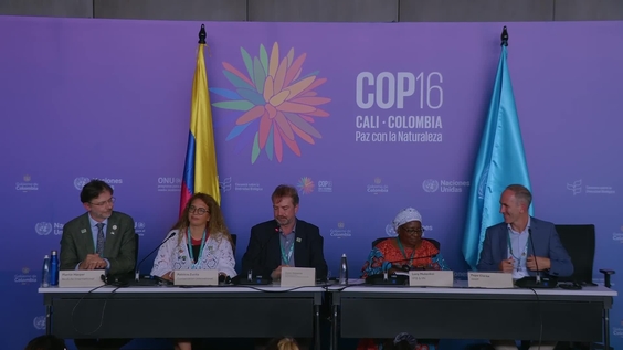 State of Play Press Conference: Policy experts from some of the largest nature organizations provide an update on the negotiations – United Nations Biodiversity Conference 2024