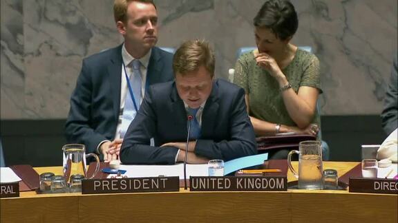 8328th Security Council Meeting: Situation in Central African Region