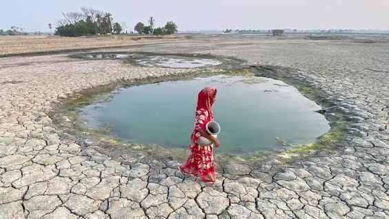 अरुणभा घोष के साथ जल और पर्यावरण पर ख़ास बातचीत