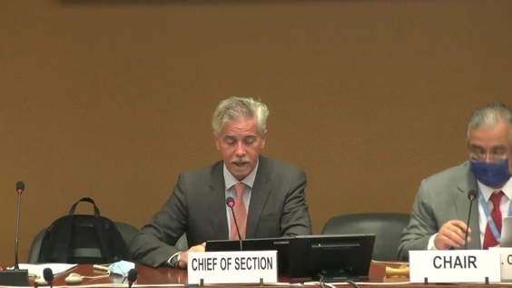 493rd Meeting, 35th Session, Committee on Migrant Workers (CMW)