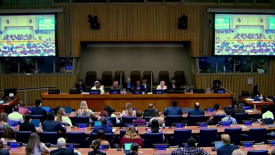 1) (9th meeting) 59th session of the Commission on Population and Development, CPD59 - 2) (1st meeting) 60th session of the Commission on Population and Development, CPD60