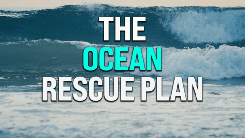 Fabien Cousteau explains how to save the ocean