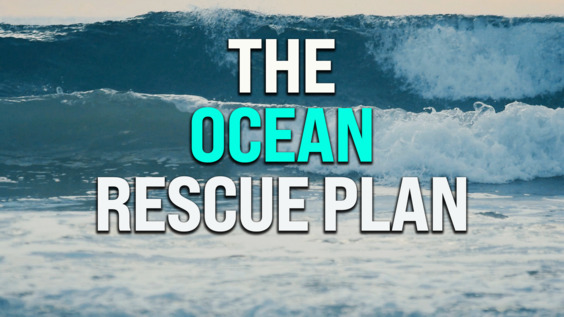 Fabien Cousteau explains how to save the ocean