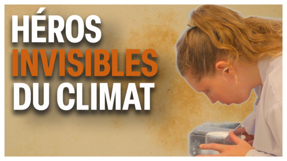 Le plancton: les gardiens invisibles du climat