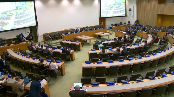 429th Meeting of the Committee on the Exercise of the Inalienable Rights of the Palestinian People (CEIRPP)