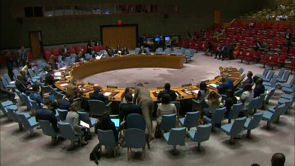 8538th Security Council Meeting: Situation in Central African Region