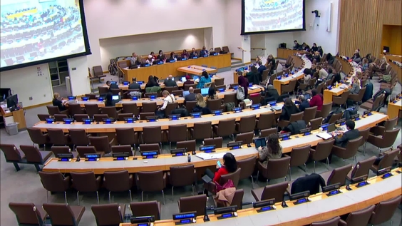 (2nd meeting) UN-Women Executive Board,  First Regular Session 2024