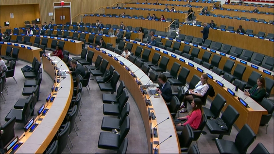 (Organizational Session) High-level Committee on South-South Cooperation, 22nd session (27-30 May 2025)