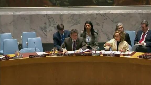 8229th Security Council Meeting: Situation in Mali
