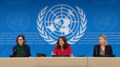 UN Geneva Press Briefing - WHO, OHCHR, IOM, UNHCR