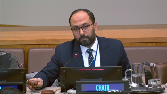 (17th meeting) Intergovernmental Negotiating Committee on the United Nations Framework Convention on International Tax Cooperation - Fourth Session