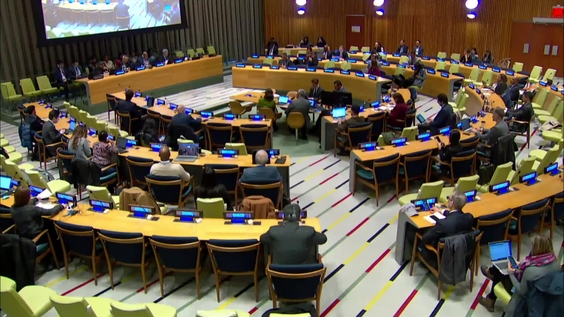 General Assembly: Briefing by the Co-Chairs of the High-Level Panel on the Development of a Multidimensional Vulnerability Index for Small Island Developing States - Informal meeting of the plenary, 78th session