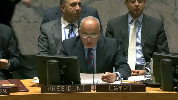 8025th Security Council Meeting: Report on UNMIK