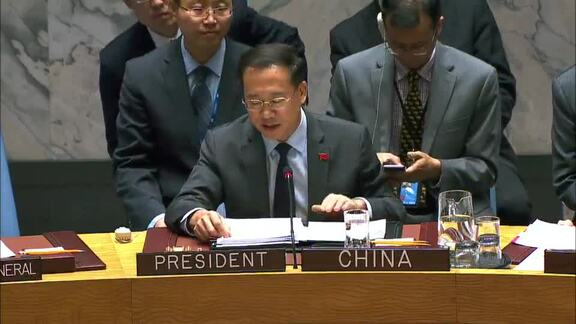8391st Security Council Meeting: Situation in Somalia